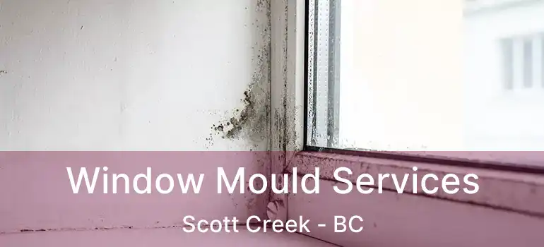  Window Mould Services Scott Creek - BC