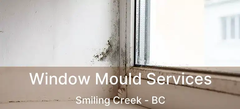  Window Mould Services Smiling Creek - BC