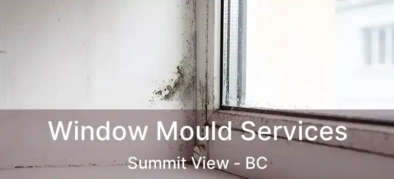  Window Mould Services Summit View - BC