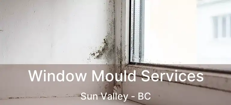  Window Mould Services Sun Valley - BC
