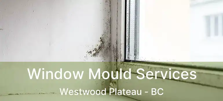  Window Mould Services Westwood Plateau - BC