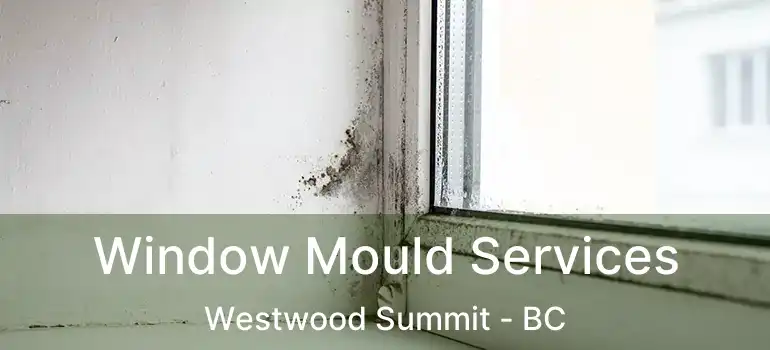  Window Mould Services Westwood Summit - BC