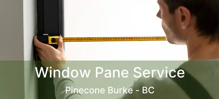  Window Pane Service Pinecone Burke - BC