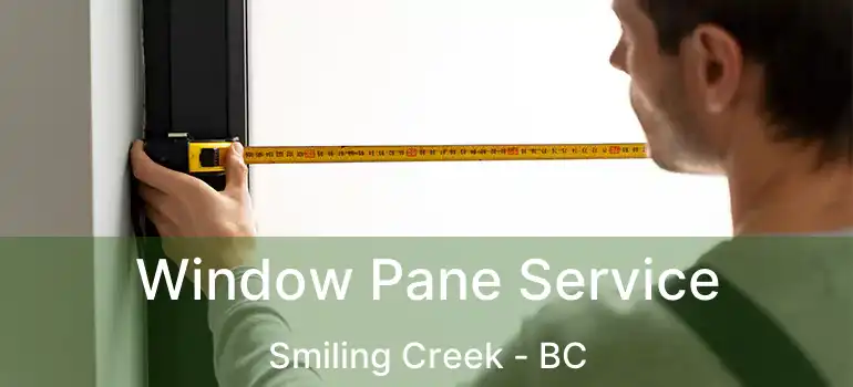  Window Pane Service Smiling Creek - BC