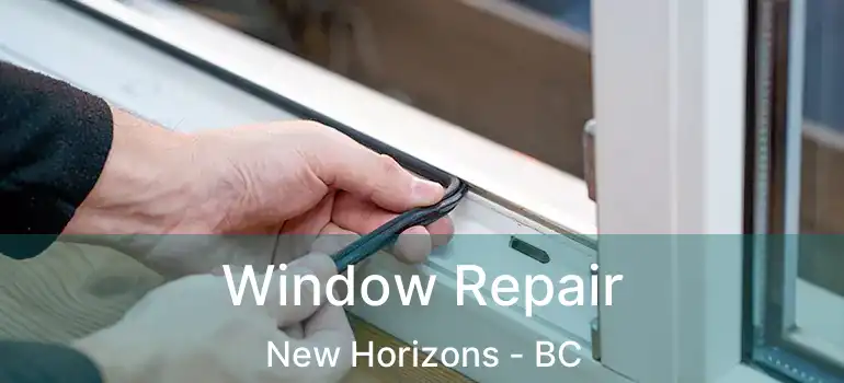  Window Repair New Horizons - BC