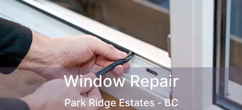  Window Repair Park Ridge Estates - BC
