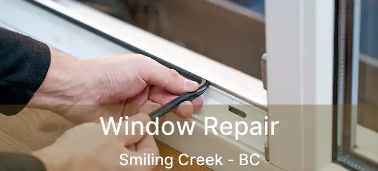  Window Repair Smiling Creek - BC