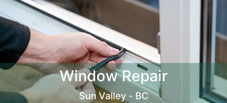  Window Repair Sun Valley - BC