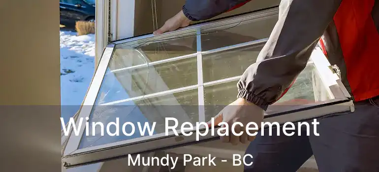  Window Replacement Mundy Park - BC