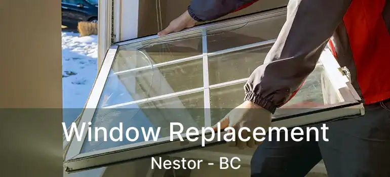  Window Replacement Nestor - BC