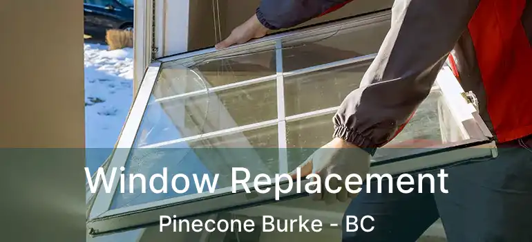  Window Replacement Pinecone Burke - BC