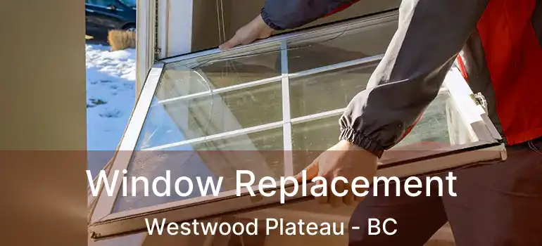  Window Replacement Westwood Plateau - BC