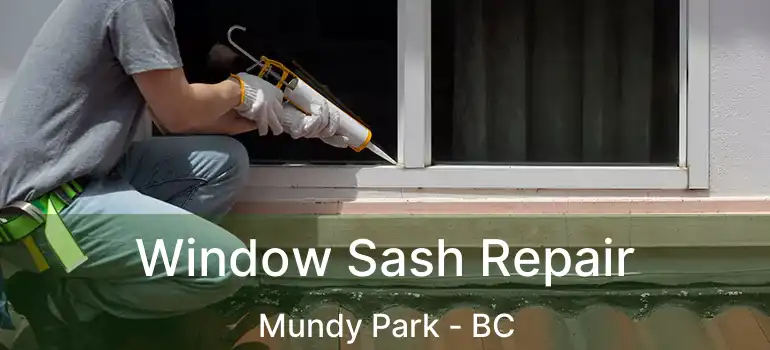  Window Sash Repair Mundy Park - BC