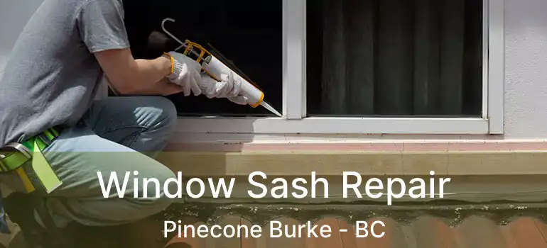  Window Sash Repair Pinecone Burke - BC