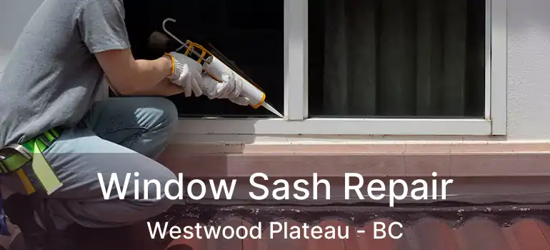  Window Sash Repair Westwood Plateau - BC