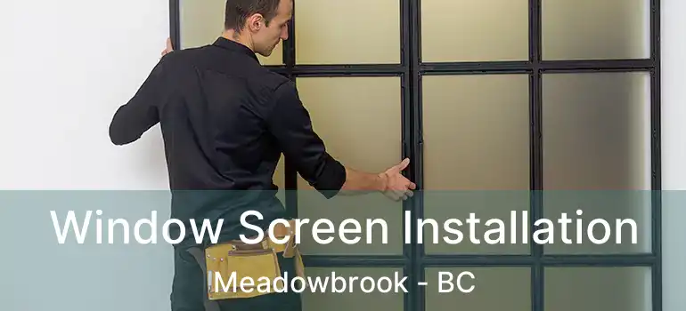  Window Screen Installation Meadowbrook - BC