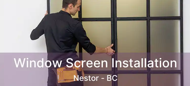  Window Screen Installation Nestor - BC