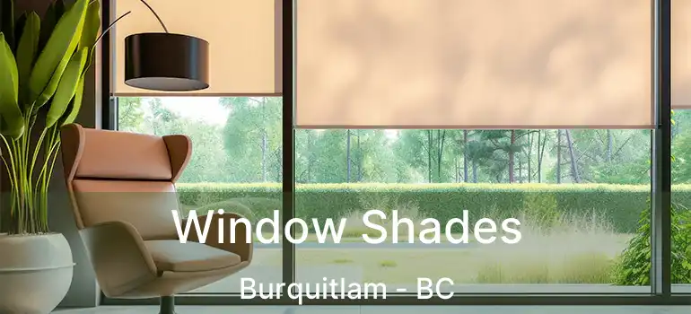  Window Shades Burquitlam - BC