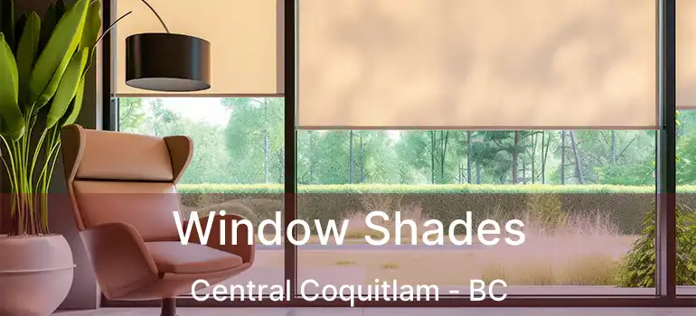  Window Shades Central Coquitlam - BC