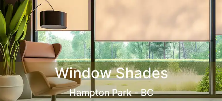  Window Shades Hampton Park - BC