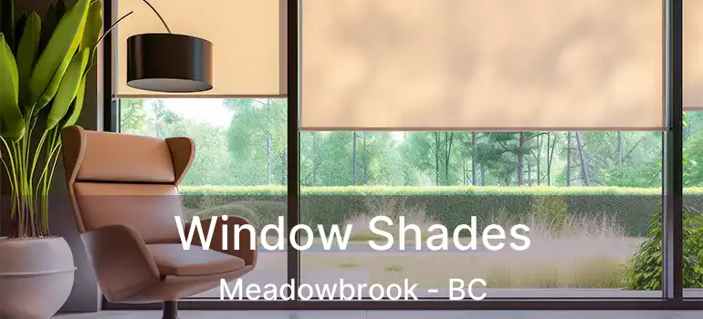  Window Shades Meadowbrook - BC