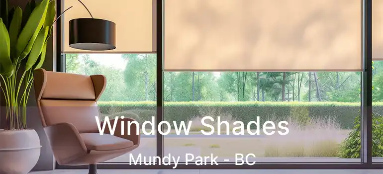  Window Shades Mundy Park - BC