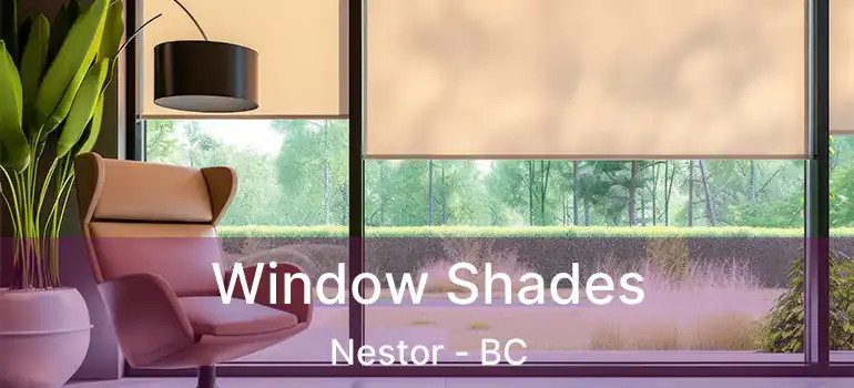  Window Shades Nestor - BC