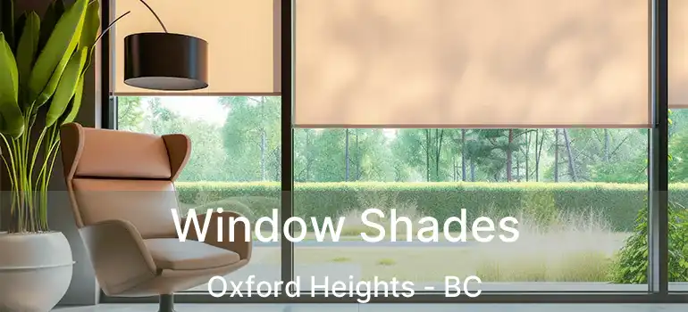  Window Shades Oxford Heights - BC