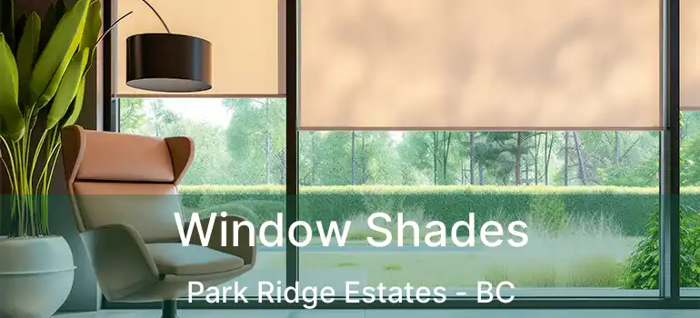  Window Shades Park Ridge Estates - BC