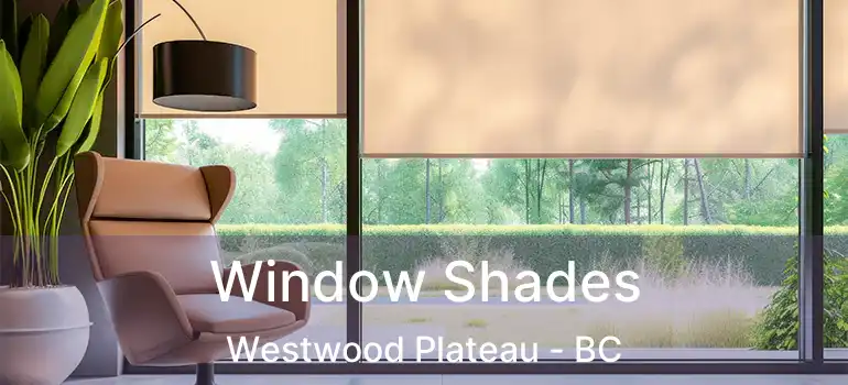  Window Shades Westwood Plateau - BC