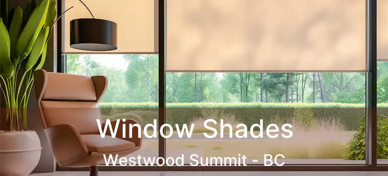  Window Shades Westwood Summit - BC