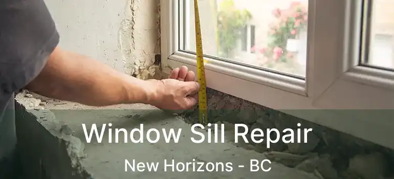  Window Sill Repair New Horizons - BC