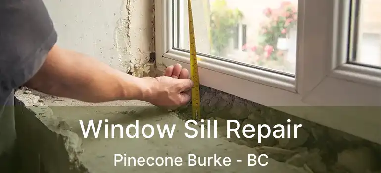  Window Sill Repair Pinecone Burke - BC