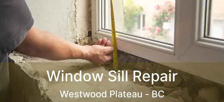  Window Sill Repair Westwood Plateau - BC