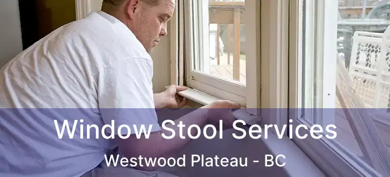  Window Stool Services Westwood Plateau - BC