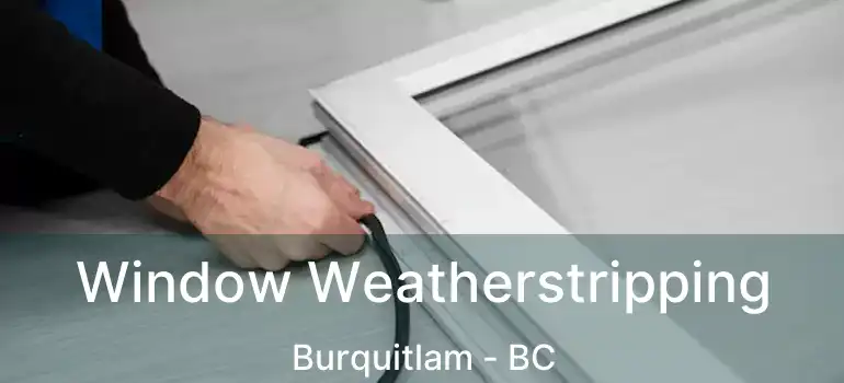  Window Weatherstripping Burquitlam - BC