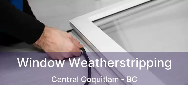  Window Weatherstripping Central Coquitlam - BC