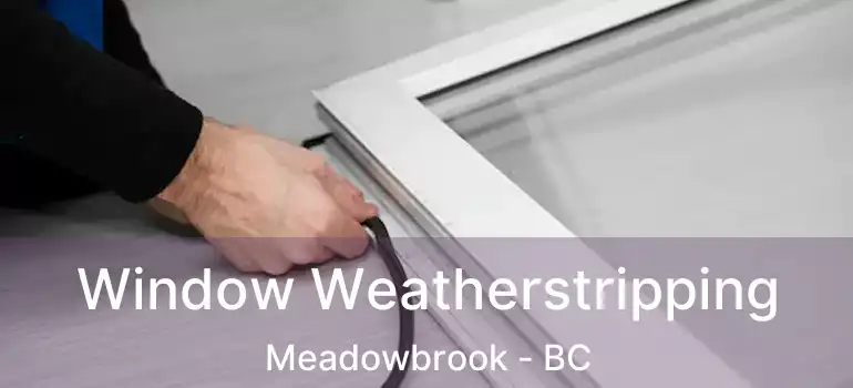  Window Weatherstripping Meadowbrook - BC