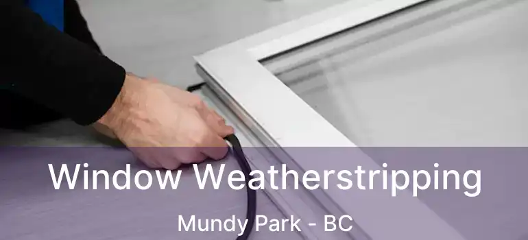  Window Weatherstripping Mundy Park - BC