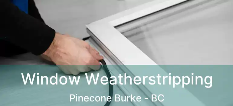  Window Weatherstripping Pinecone Burke - BC