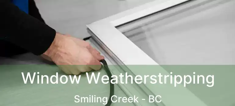  Window Weatherstripping Smiling Creek - BC