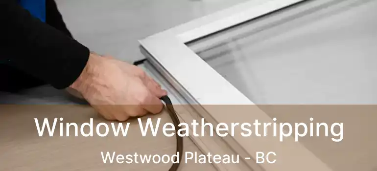  Window Weatherstripping Westwood Plateau - BC