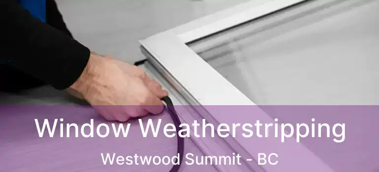  Window Weatherstripping Westwood Summit - BC