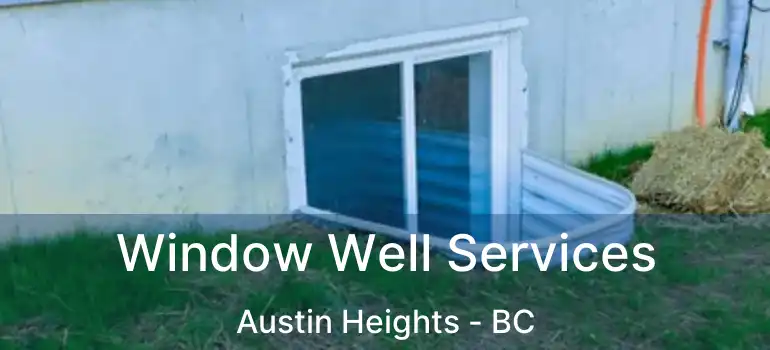  Window Well Services Austin Heights - BC