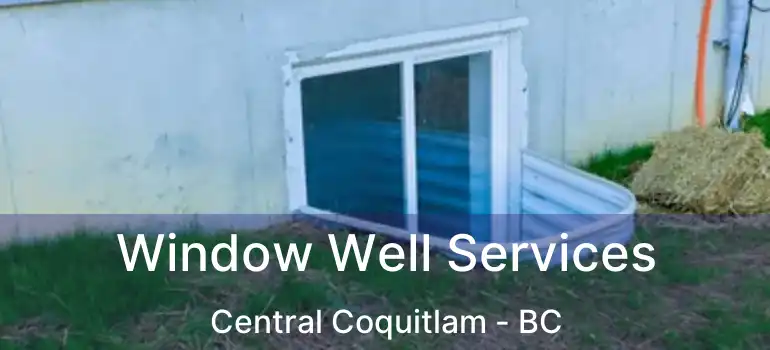  Window Well Services Central Coquitlam - BC