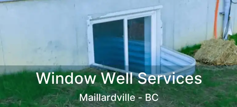  Window Well Services Maillardville - BC