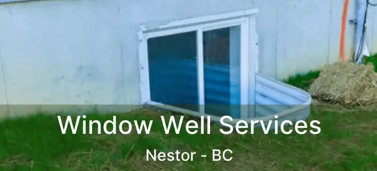  Window Well Services Nestor - BC
