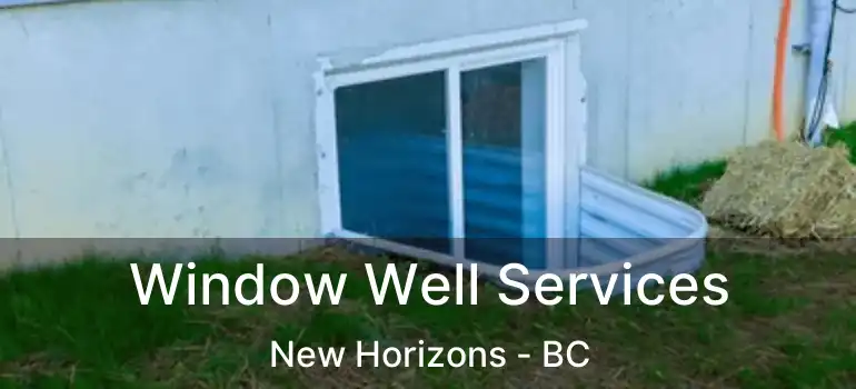  Window Well Services New Horizons - BC