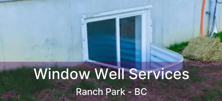  Window Well Services Ranch Park - BC
