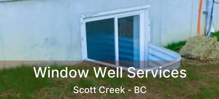  Window Well Services Scott Creek - BC